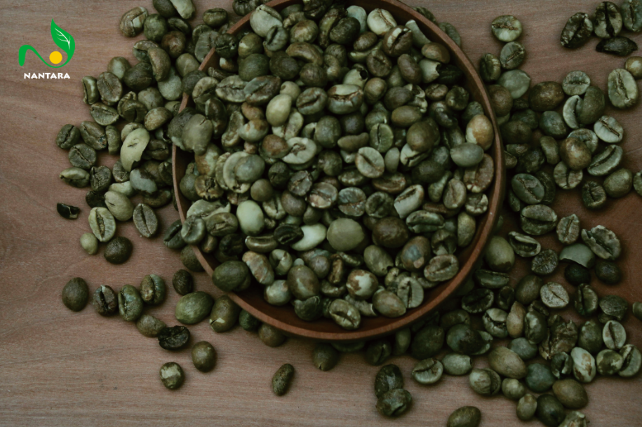 GREEN BEAN COFFEE ROBUSTA